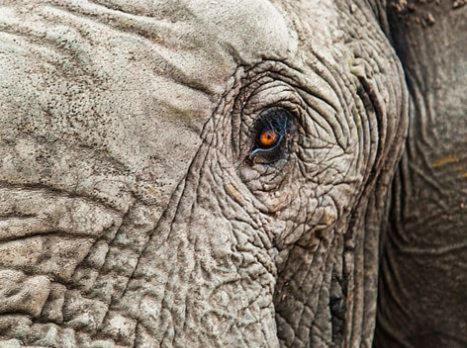 Metsi Lodge Welgevonden Doğa Koruma Alanı Dış mekan fotoğraf